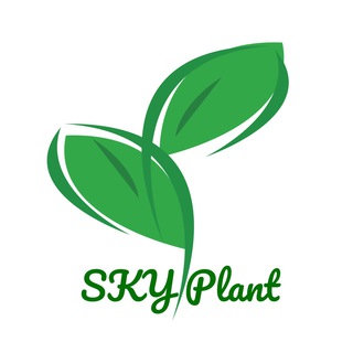 Logo saluran telegram sky_plant — 🍀 Sky Plant 🍀