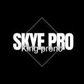 Telegram channel t.me/Skyepr logo