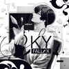 Логотип телеграм канала @skyfallex — окей