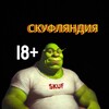 Логотип телеграм канала @skyfflandia — Скуфляндия18 