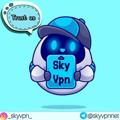 Logo saluran telegram skyvpnnet — 🌐SKYVPN🌐