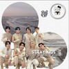 Логотип телеграм канала @skz2017_stay — Stray kids ворлд доминейшен 👑❤️🔥