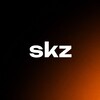 Логотип телеграм канала @skz_fx — skz