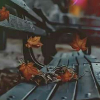 لوگوی کانال تلگرام sl7dtt — اوراق ذابلة 🍃
