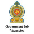 Logo saluran telegram sl_government_job — Government Job Vacancies