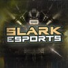 Telegram channel SLARK ESPORTS logo