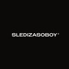 Логотип телеграм канала @sldzsboy — SLEDIZASOBOY