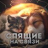 Logo of telegram channel sleepingpets — 🌷Sleeping petsᵒᶠᶠ🌙