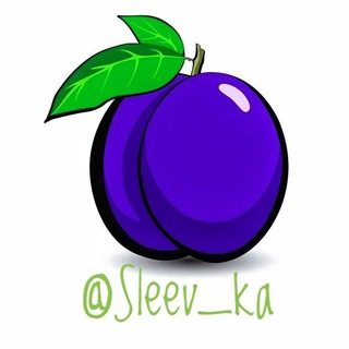 Логотип телеграм канала @sleev_ka — Сливовое