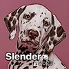Логотип телеграм канала @slender_dogs — sʟᴇɴᴅᴇʀ.ᴅᴏɢsᶜʰᵃᶰᶰᵉᶫ
