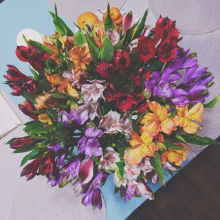 Логотип телеграм канала @slicesoflife — .The_life