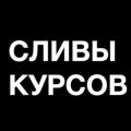 Logo saluran telegram slitye_kursyy — 🔥 СЛИВЫ КУРСОВ 🔥