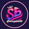 Логотип телеграм канала @slivgolih55 — slivgolih55