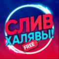 Logo saluran telegram slivhaly — Слив Халявы