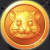 Логотип телеграм канала @slivhamstera — 💸Hamster Sliv💸