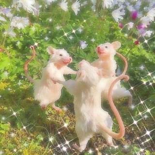 Логотип телеграм канала @slivi_ege_2021 — Сливы ЕГЭ | Умскул | Вебиум | BuboUnicus | Стобалльный | Умскул русский | Умскул биология | Эля Смит