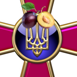 Логотип телеграм канала @slivivsu — СЛИВЫ ВСУ