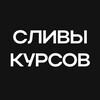 Логотип телеграм канала @slivkyrsovfree — Слив платных курсов