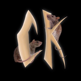 Логотип телеграм канала @slivnayakrysaaa — Сливная Крыса 🐀 Крысиный рой