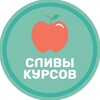 Telegram channel yab-loko.ru | курсы егэ&огэ 🔥 logo