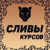 Логотип телеграм канала @slivyswkurs — Сливы курсов ОГЭ & ЕГЭ | Умскул