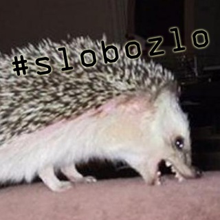 Логотип телеграм канала @slobozlo — Злой слобожанин