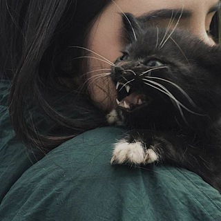 Логотип телеграм канала @slomaano_15 — _slomano_15