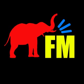Логотип телеграм канала @slonfmviknu — Слон FM | Інфа про ВІ КНУ