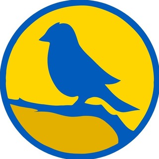 Telegram channel Щоденний словник UA logo