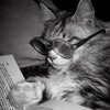 Логотип телеграм канала @slozhnokvasha — простоквашиNotes