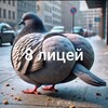 Telegram channel Подслушано 8 Лицей logo