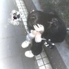 Логотип телеграм канала @slzxc — 🐾китайка