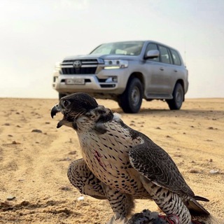 لوگوی کانال تلگرام smah9i — بن سّماح .