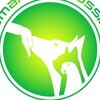 Логотип телеграм канала @smartdogrussia — Центр зоопсихологии и зоо отель СмартдогРаша/SmartDogRussia