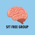 Telegram channel Smart Forex Trades 🧠 logo
