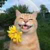 Логотип телеграм канала @smartiesclubb — SMARTIК