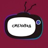 Логотип телеграм канала @smehividchannel — СмеХиВид