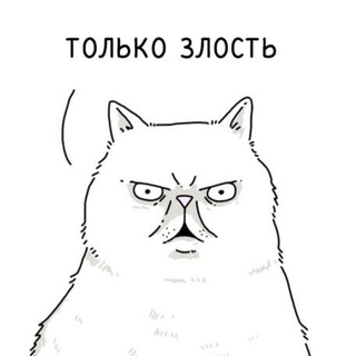 Логотип телеграм канала @smellychervon — Вонючий Червонец🦁