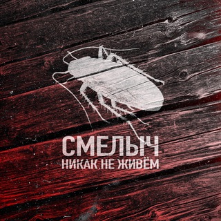 Логотип телеграм канала @smelov_music — СМЕЛЫЧ
