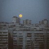 Логотип телеграм канала @smertelno_vlublen — смертельно влюблён