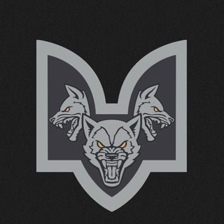 Логотип телеграм -каналу smertvorogy — Окремий батальйон Вовки Да Вінчі