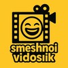 Логотип телеграм канала @smeshnoividosik — Смешной видосик