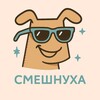 Логотип телеграм канала @smesnuha — Смешнуха