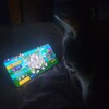 Логотип телеграм канала @smetana_brawlstars — SmEtana BS