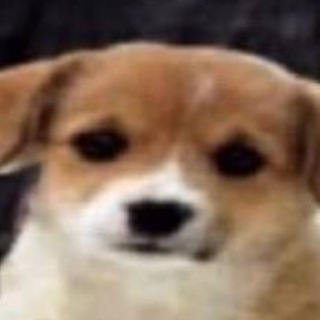 Логотип телеграм канала @smex_xa_xa0 — Разве это смешно?