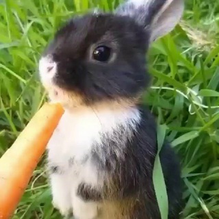 Логотип телеграм канала @smexostan — Мастерская настроения😂