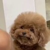 Логотип телеграм канала @smexyigrex — Смех и грех