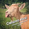 Логотип телеграм -каналу smishno_kozi — Смішно козі 😂🐐