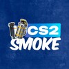 Логотип телеграм канала @smokecs2 — Дымок CS2