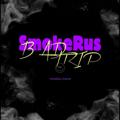 Logo saluran telegram smokerussvape — SmokeRus